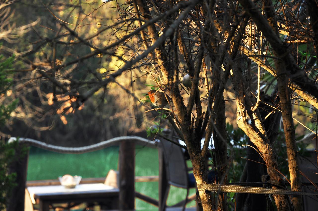 Lethe Exclusive Hotel (Adults Only) Ağva Eksteriør bilde